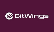 Bitwings logo